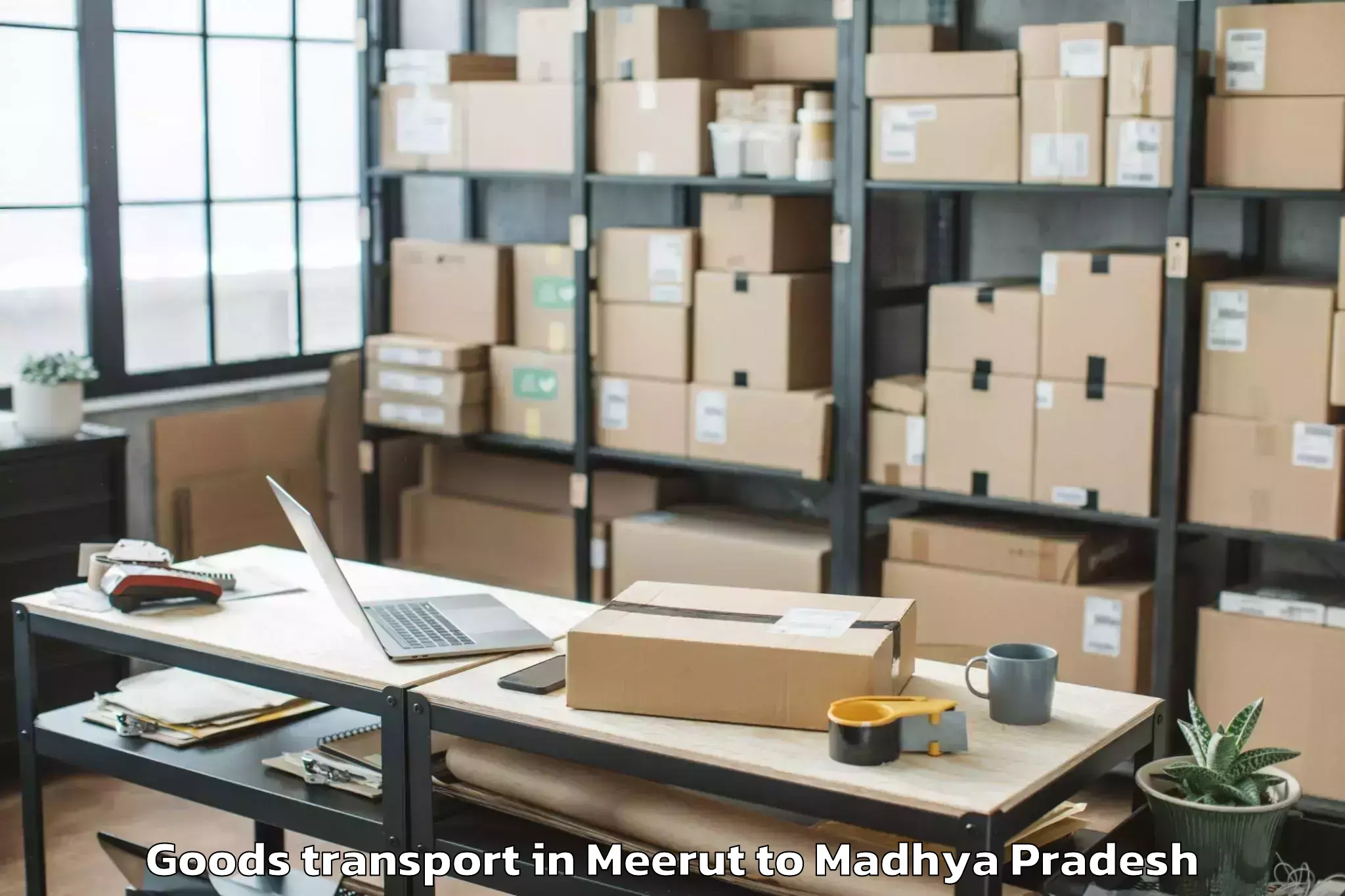 Professional Meerut to Raisen Goods Transport